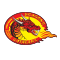 Catalans Dragons